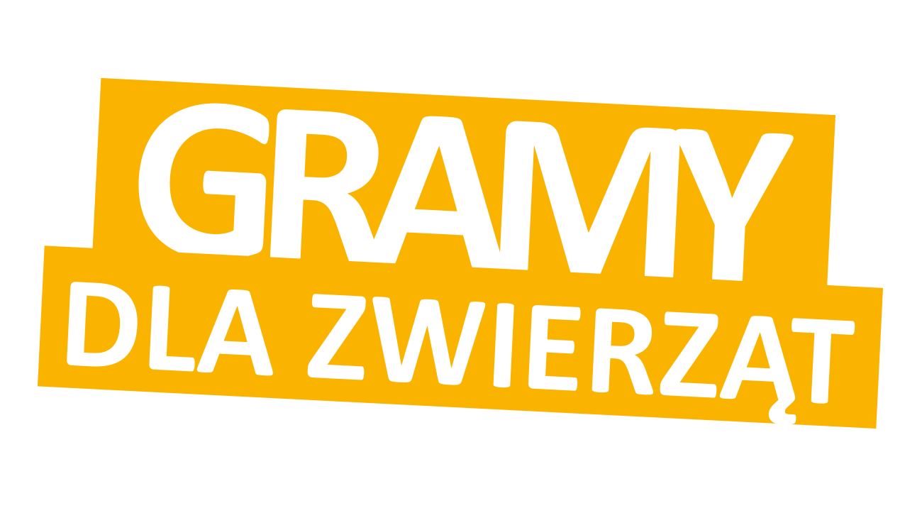 Strona główna